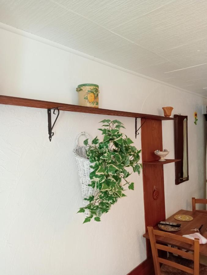 Casa Vacanze Il Girasole Калтаджироне Екстериор снимка