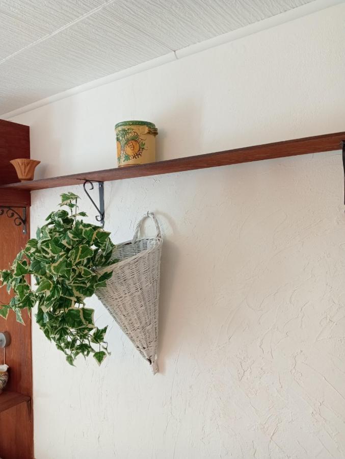 Casa Vacanze Il Girasole Калтаджироне Екстериор снимка